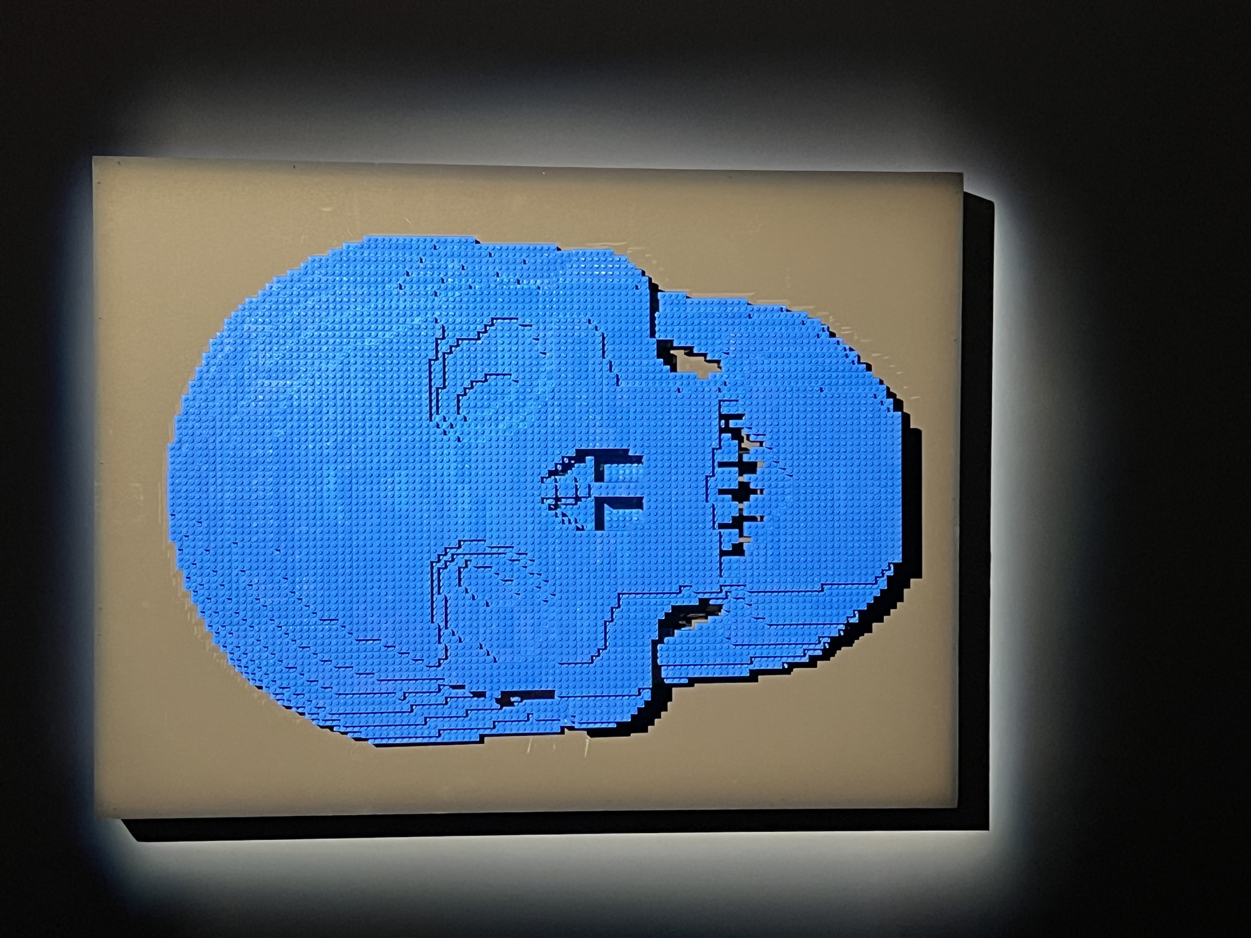 ./2023/07 - Art of the Brick/IMG_9546.JPG